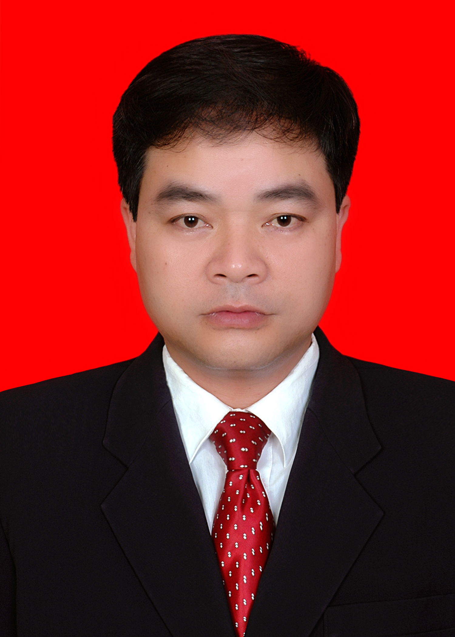 县政府副县长 杨景明